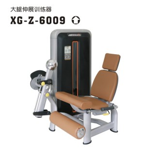xg-z-6009-2